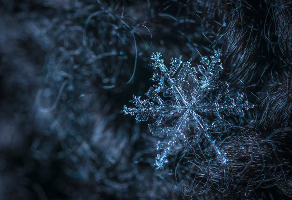 close up of snow flake